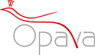 https://www.ekatalog.cz/firma/365683-zakladni-skola-a-materska-skola-opava-vavrovice-prispevkova-organizace/
